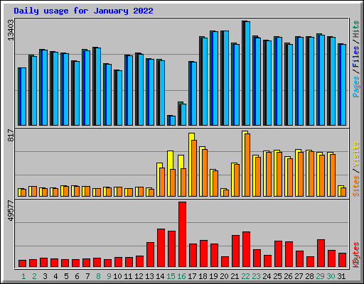 Daily usage for January 2022