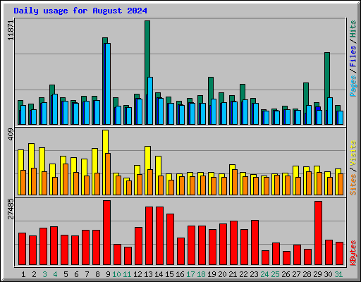 Daily usage for August 2024