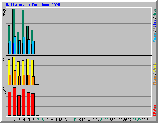 Daily usage for June 2025