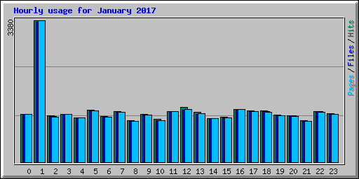 Hourly usage for January 2017