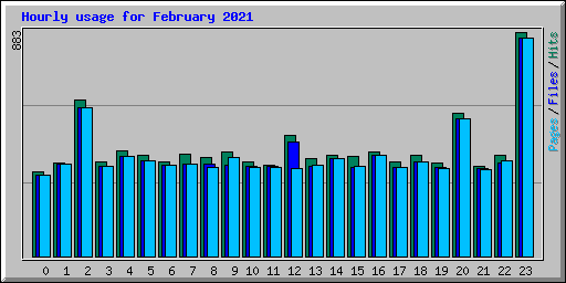 Hourly usage for February 2021