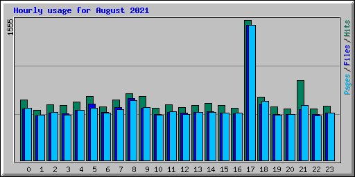 Hourly usage for August 2021