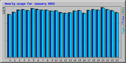 Hourly usage for January 2022