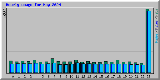 Hourly usage for May 2024