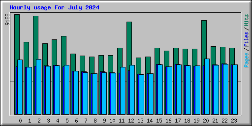 Hourly usage for July 2024