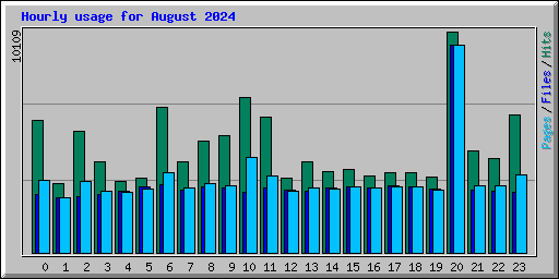 Hourly usage for August 2024