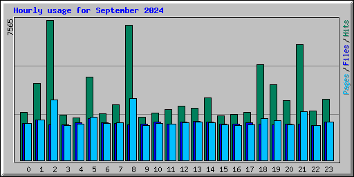 Hourly usage for September 2024