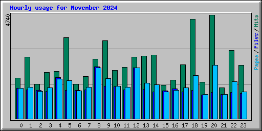 Hourly usage for November 2024