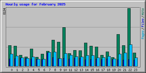Hourly usage for February 2025