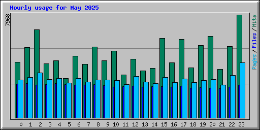 Hourly usage for May 2025
