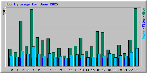 Hourly usage for June 2025