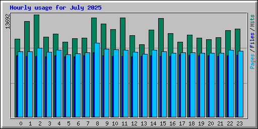 Hourly usage for July 2025
