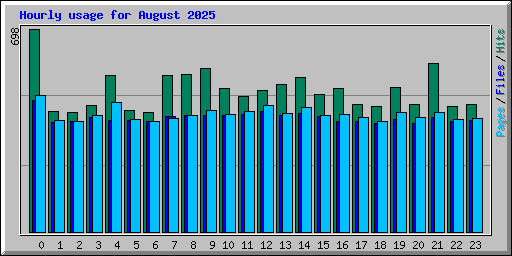 Hourly usage for August 2025